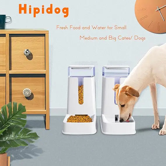 Automatic Cat and Dog Feeder and Waterer